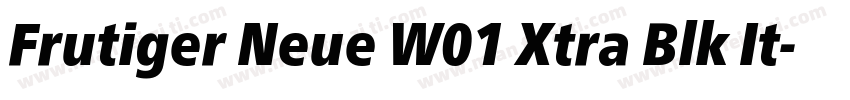 Frutiger Neue W01 Xtra Blk It字体转换